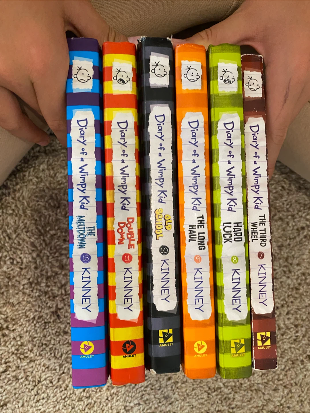 Collection of 17 Diary of a Wimpy Kid Books - photo 2