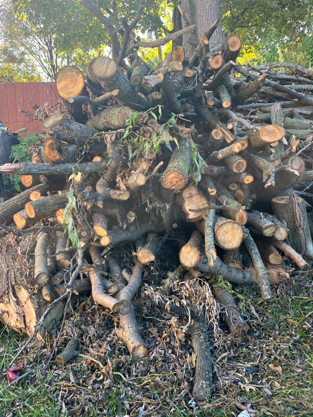 Firewood bundle