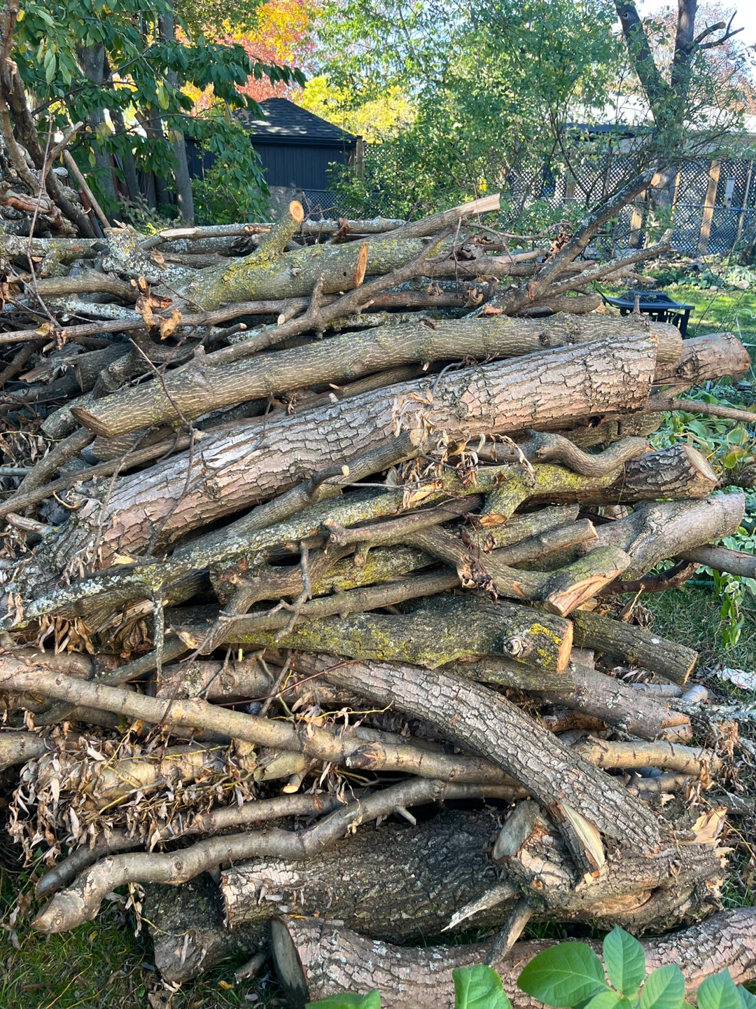 Firewood bundle - photo 2
