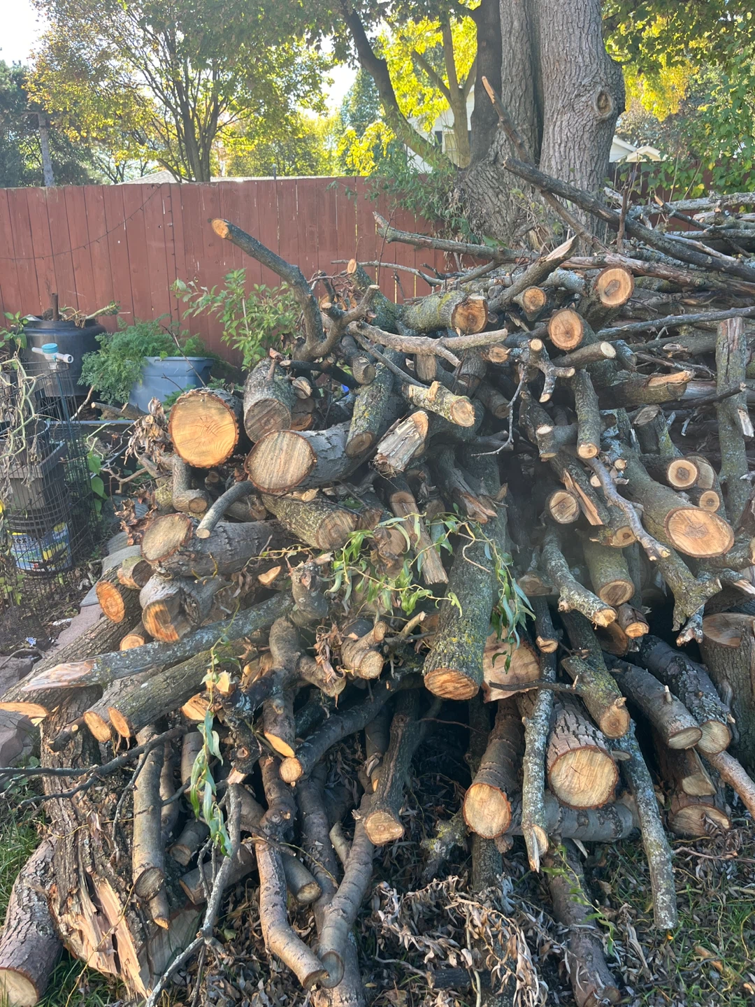 Firewood bundle - photo 3