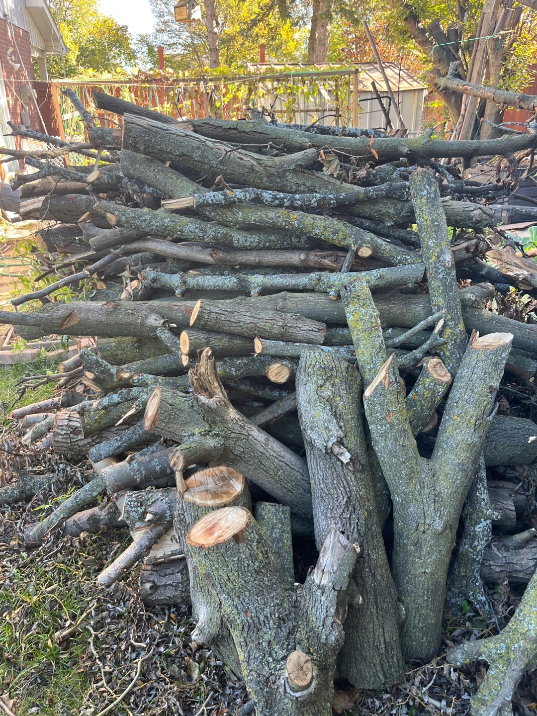 Firewood bundle - photo 4