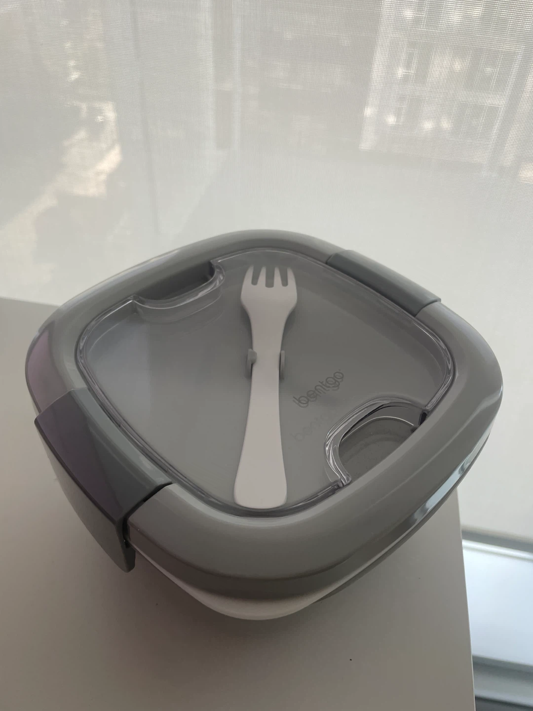 Bentgo lunch Container