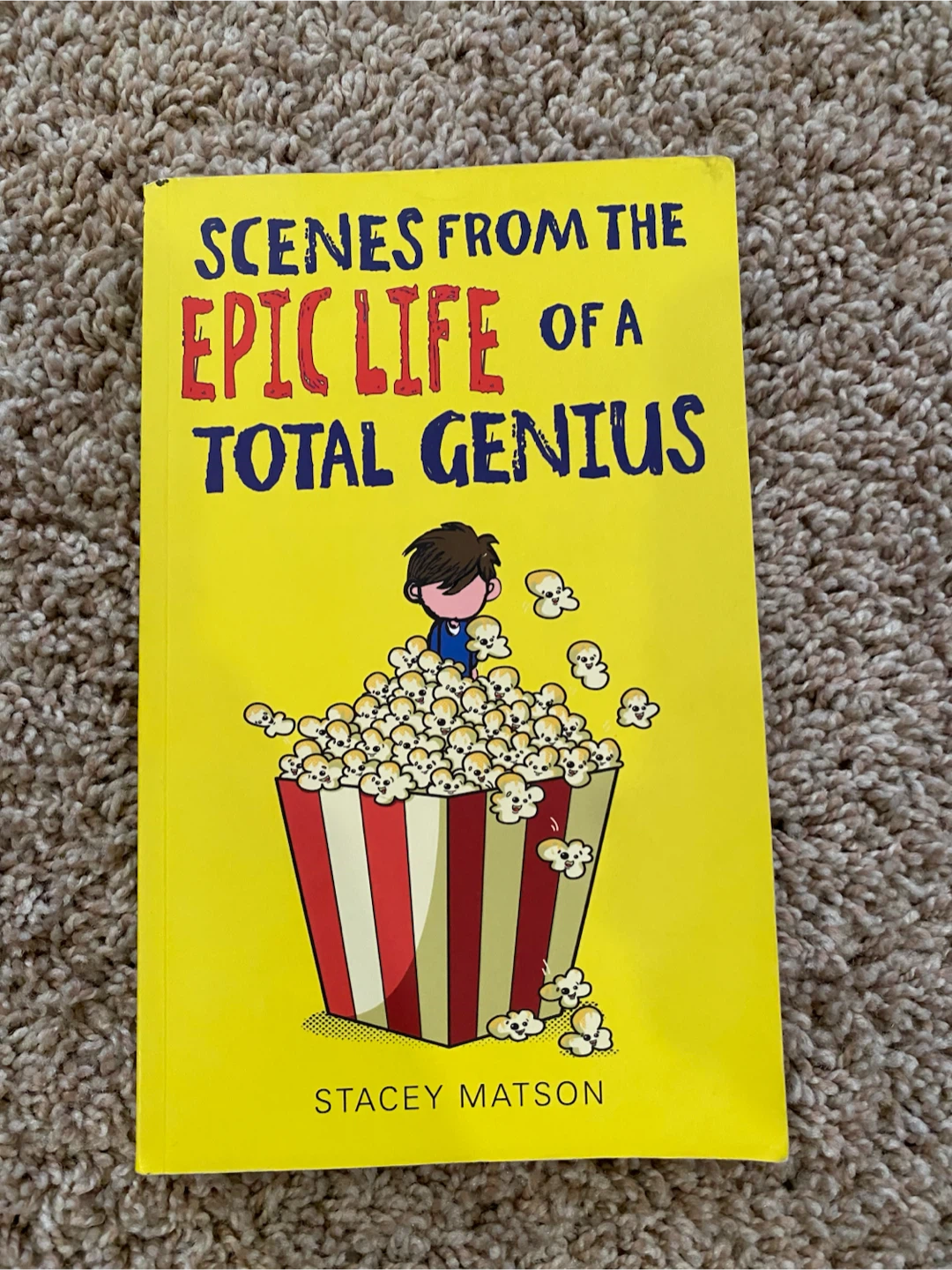 3 Childrens Books: Timmy Failure and Epic Life - photo 3