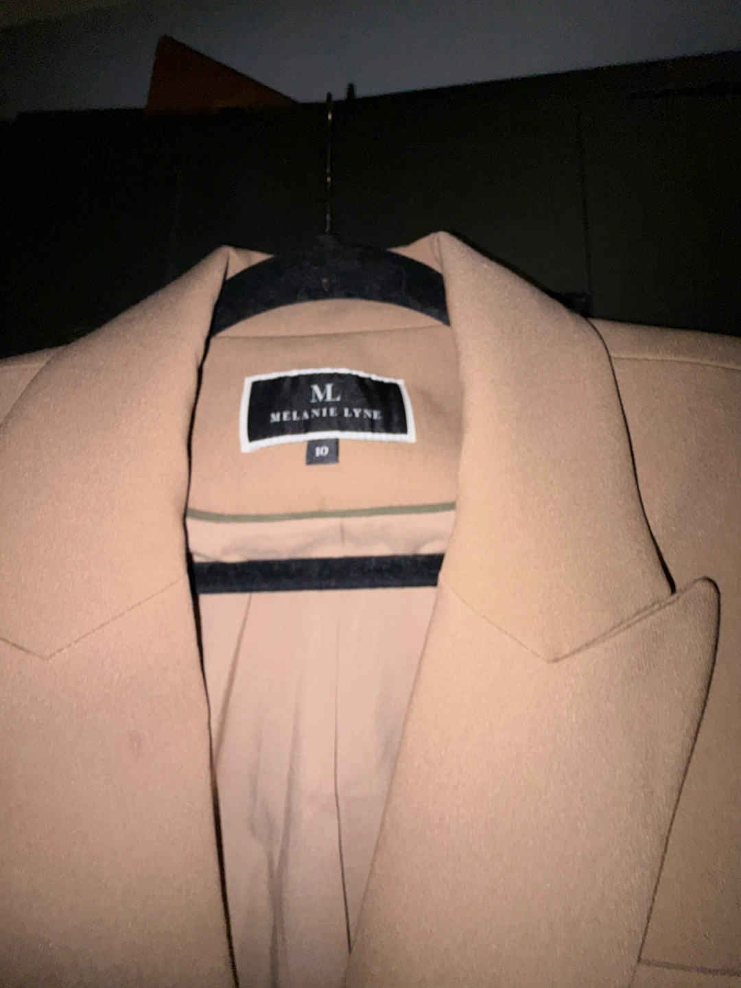 Melanie Lyne Tan Blazer and Pant Set - photo 4