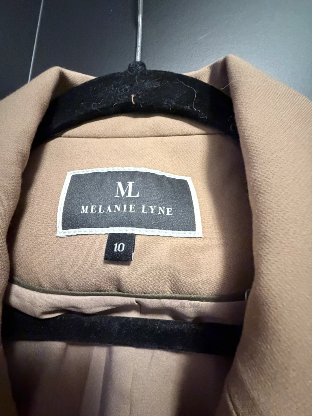 Melanie Lyne Tan Blazer and Pant Set - photo 5
