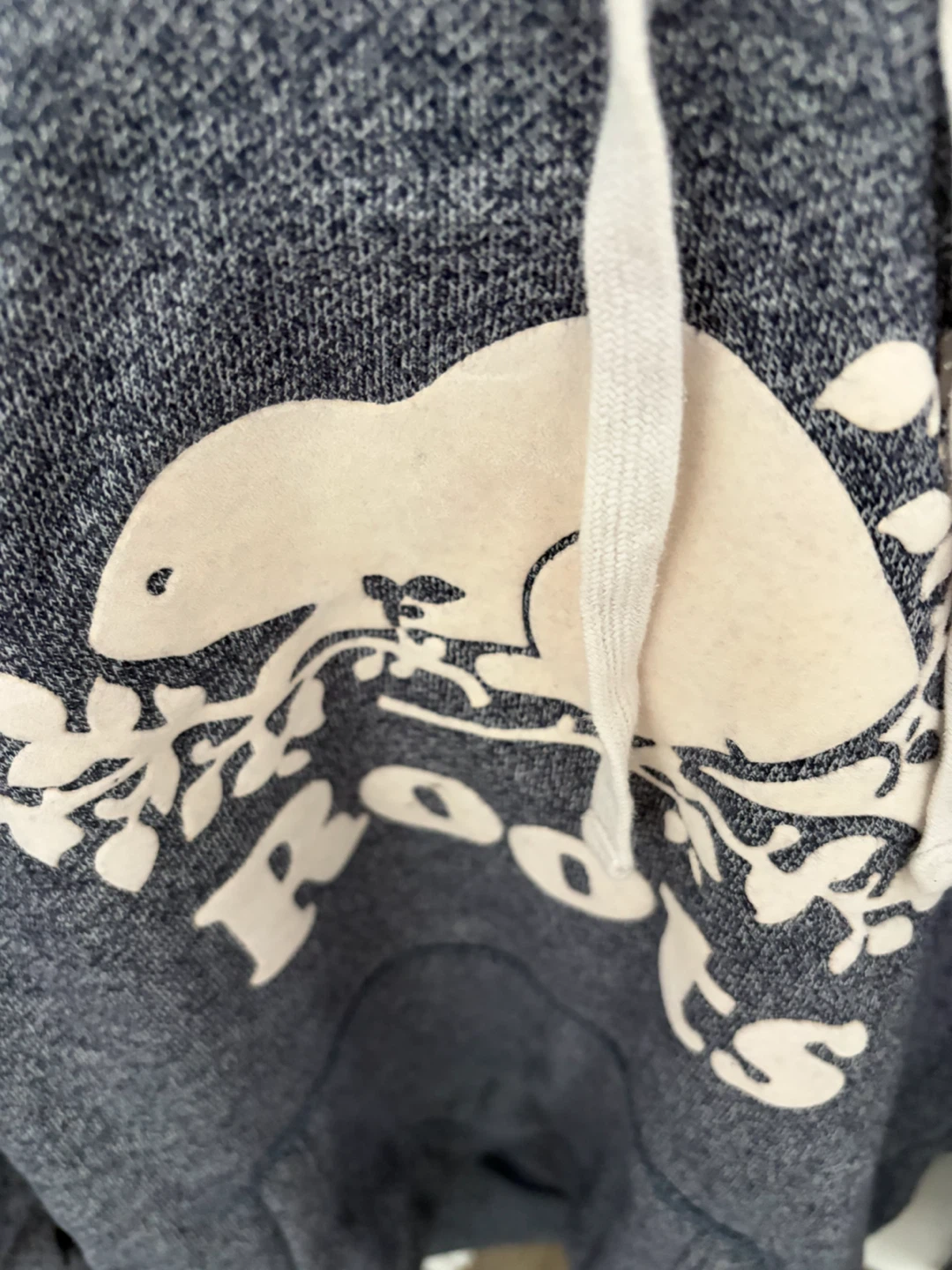 Roots blue hoodie - photo 2