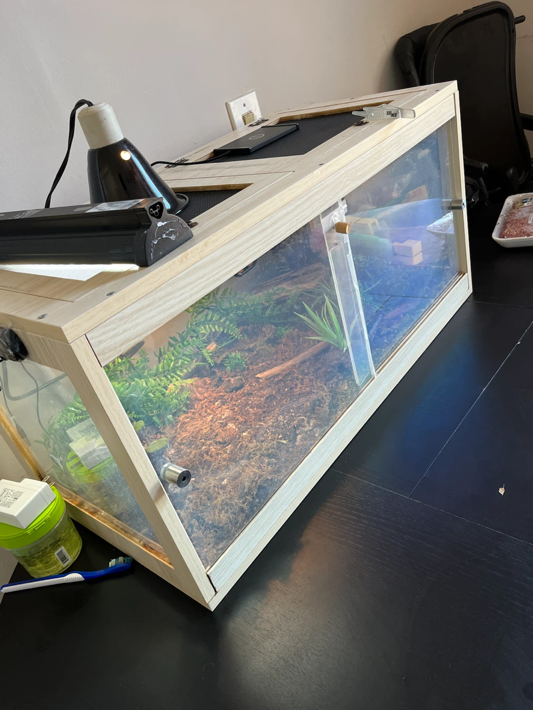 Reptile Enclosure with Lighting and Decor