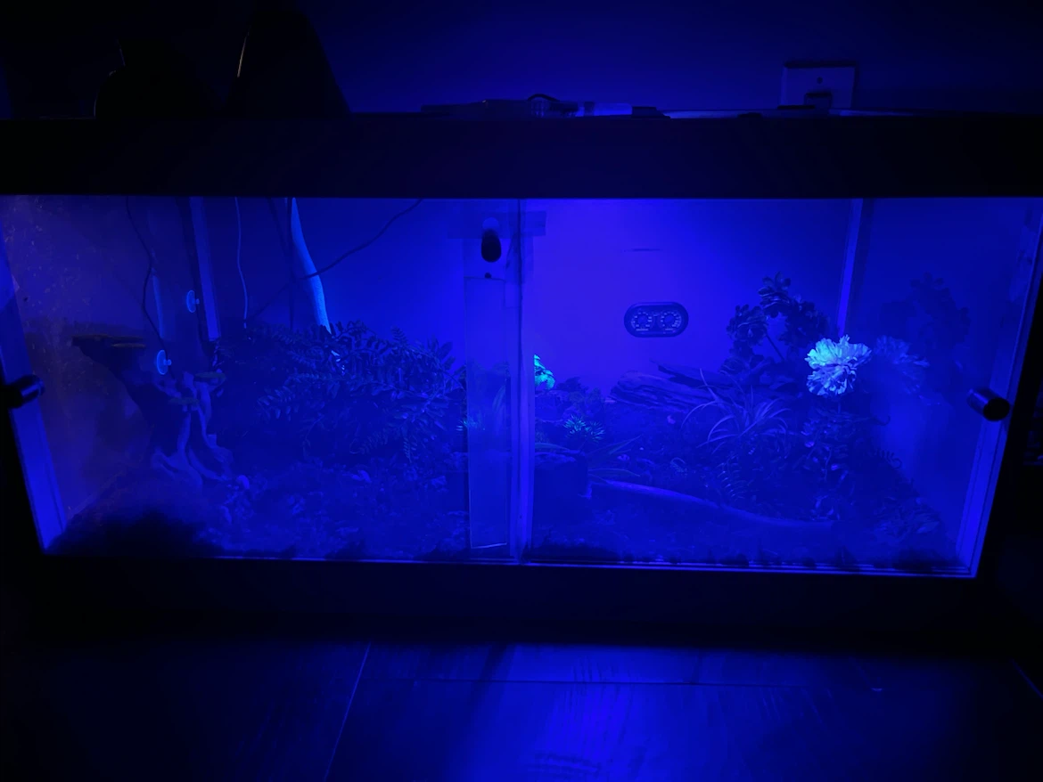 Reptile Enclosure with Lighting and Decor - photo 2