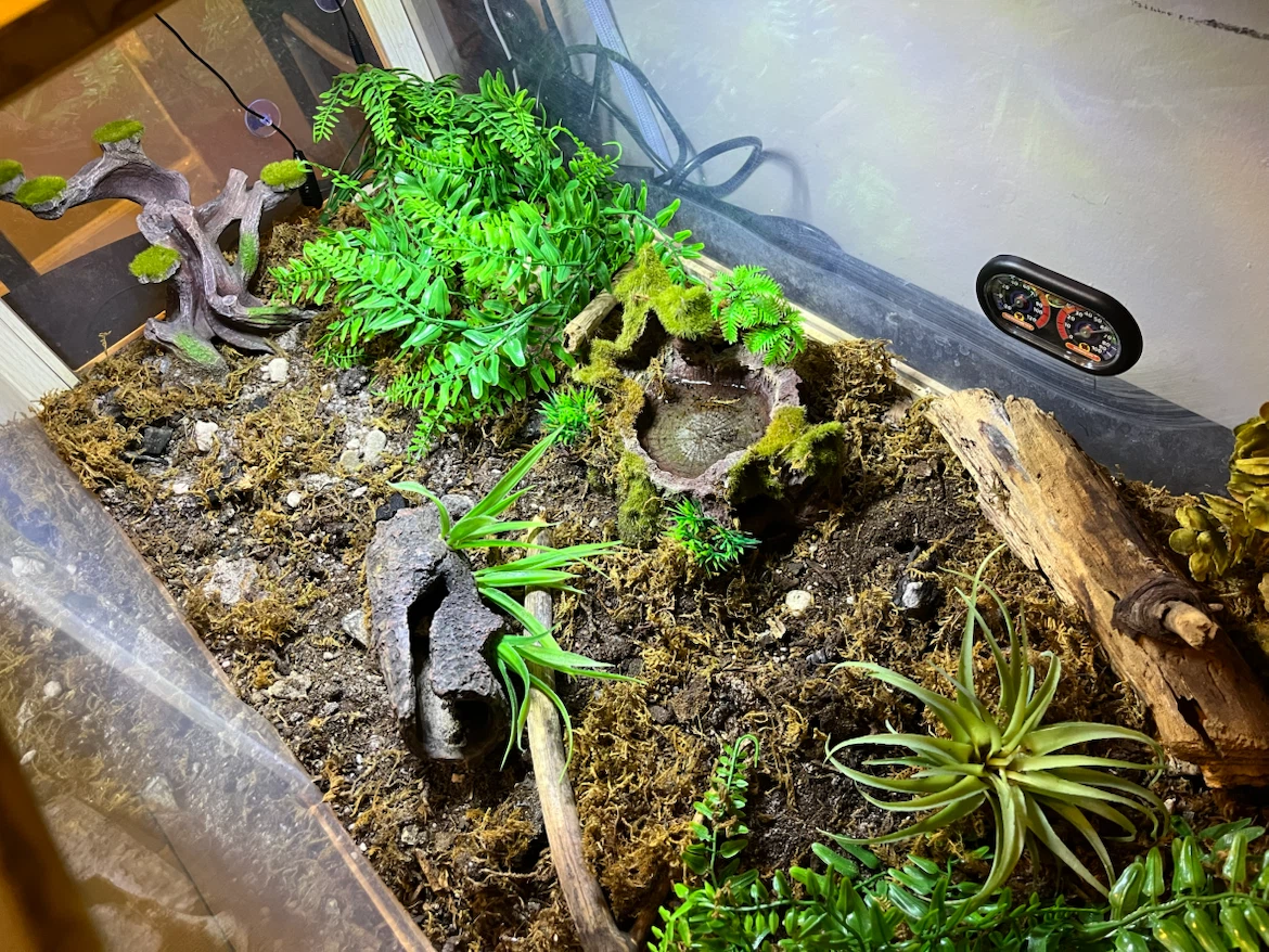 Reptile Enclosure with Lighting and Decor - photo 4
