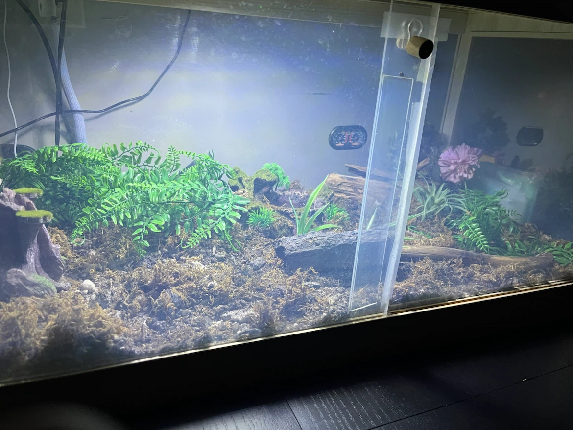 Reptile Enclosure with Lighting and Decor - photo 5