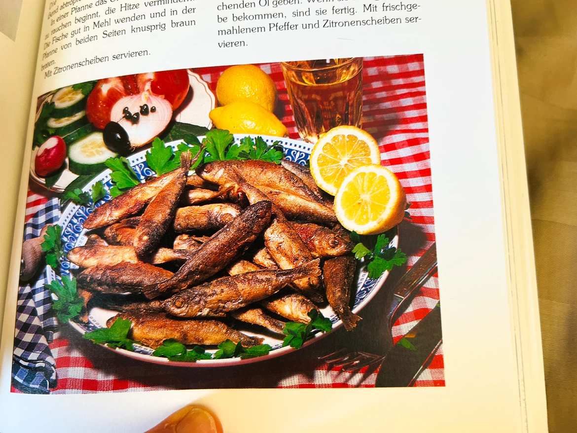 NEW GREEK COOKBOOK IN GERMAN LANGUAGE - photo 5