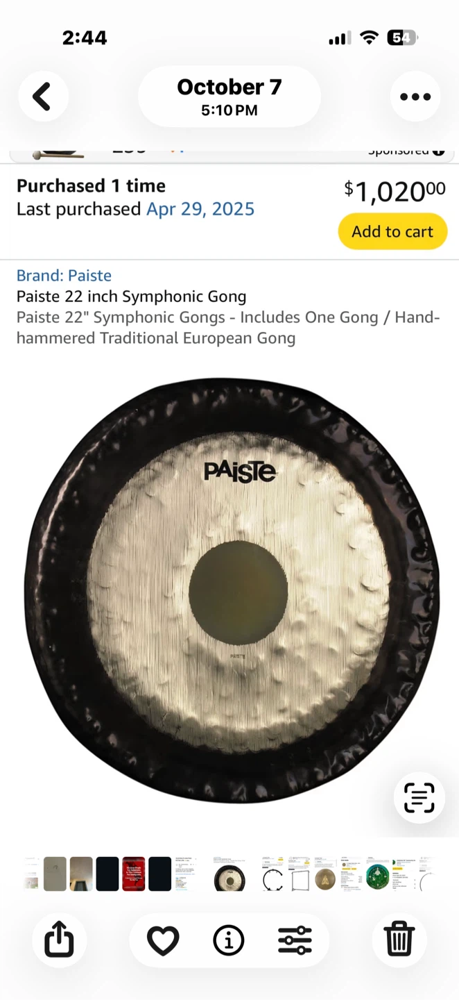 Paiste 22 Inch Symphonic Gong with Stand - photo 2