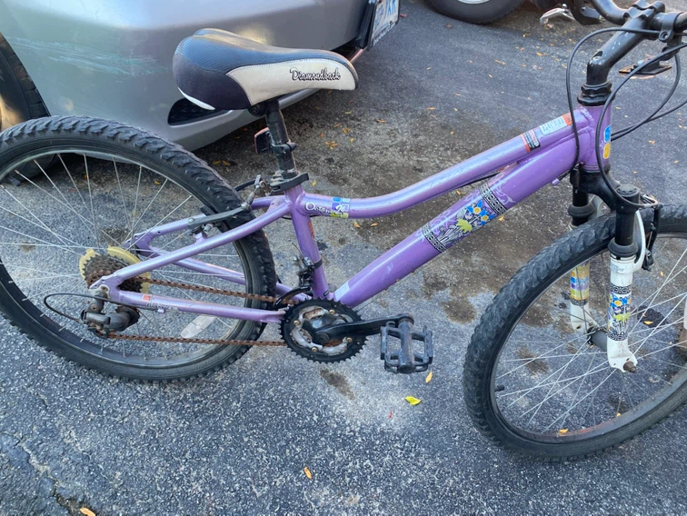 Diamondback Octane 24 Mountain Bike - photo 2