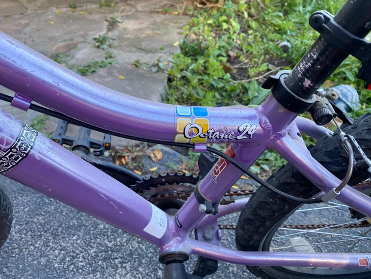Diamondback Octane 24 Mountain Bike - photo 3