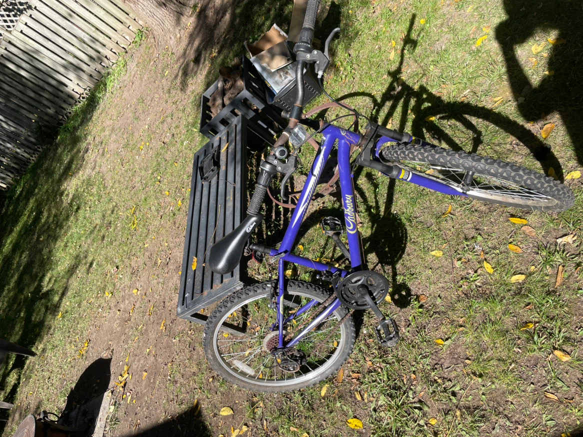Cadbury Purple Mountain Bike - photo 3