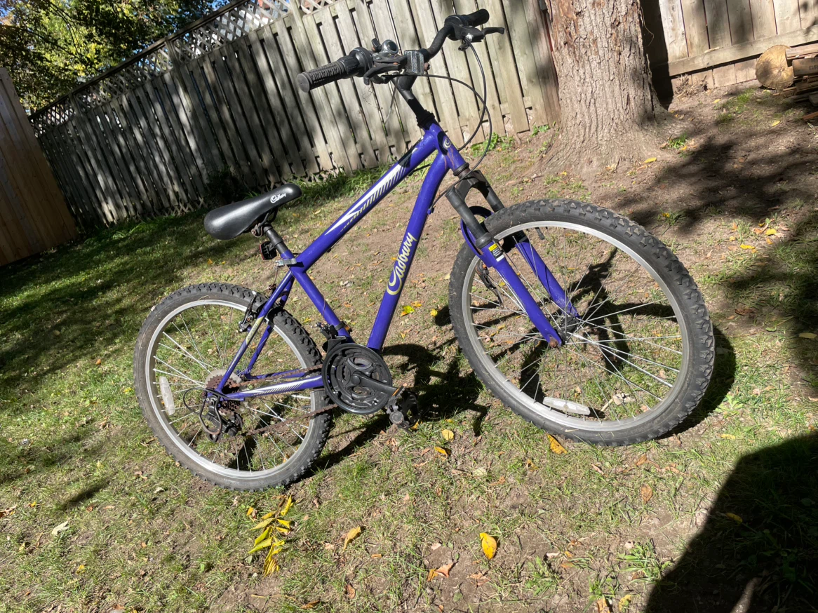 Cadbury Purple Mountain Bike - photo 4