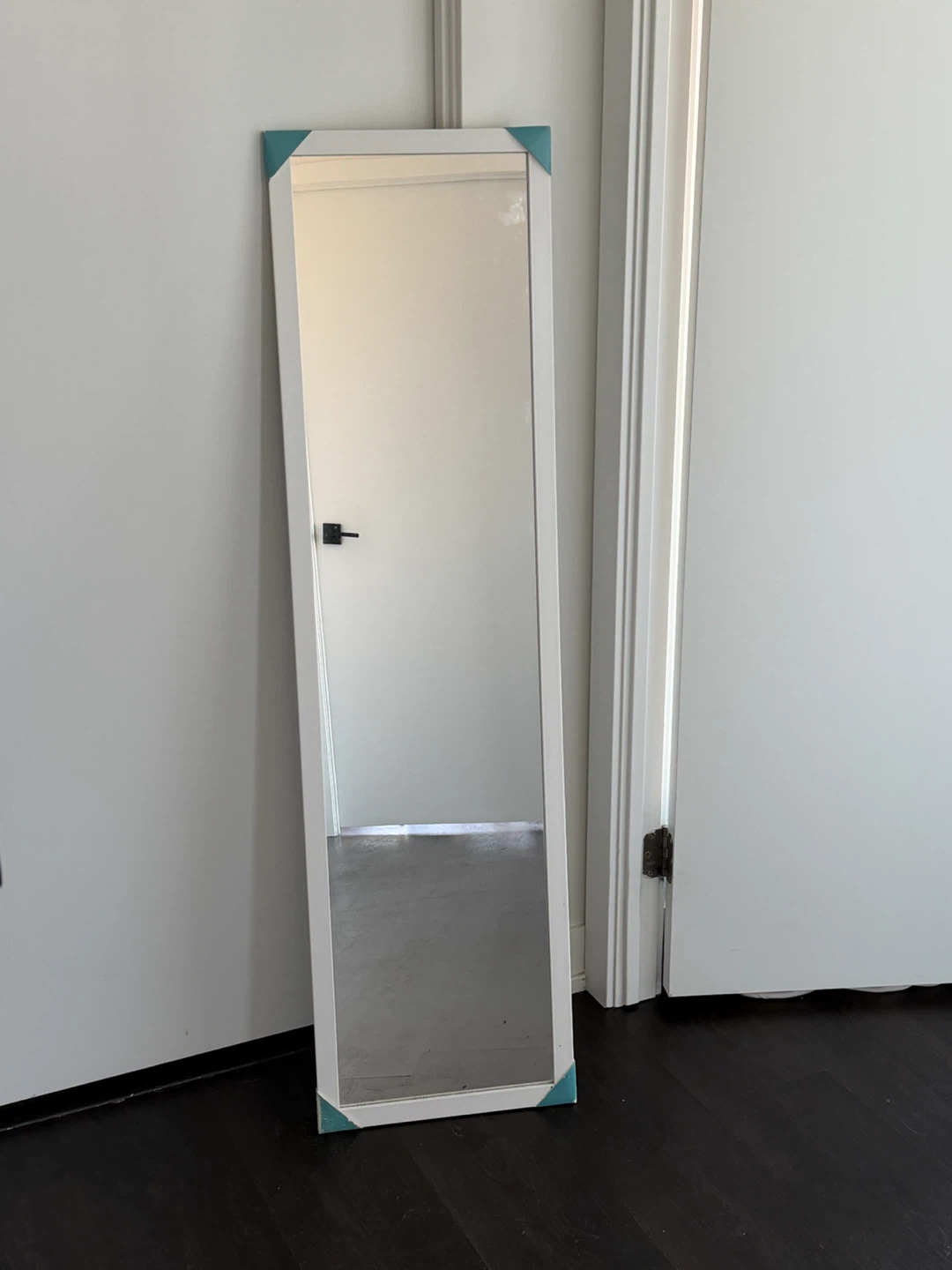 Full Length Door Mirror