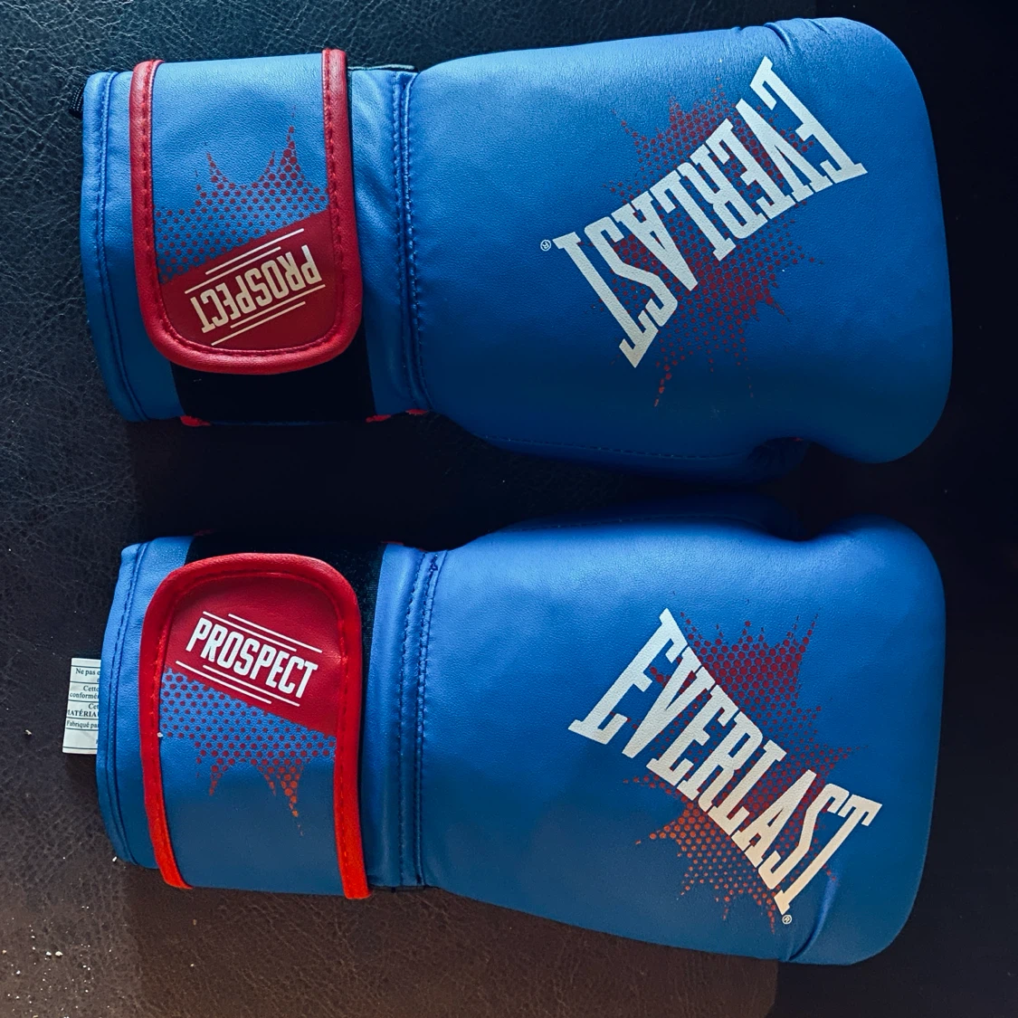 Everlast Prospect Youth Boxing Gloves