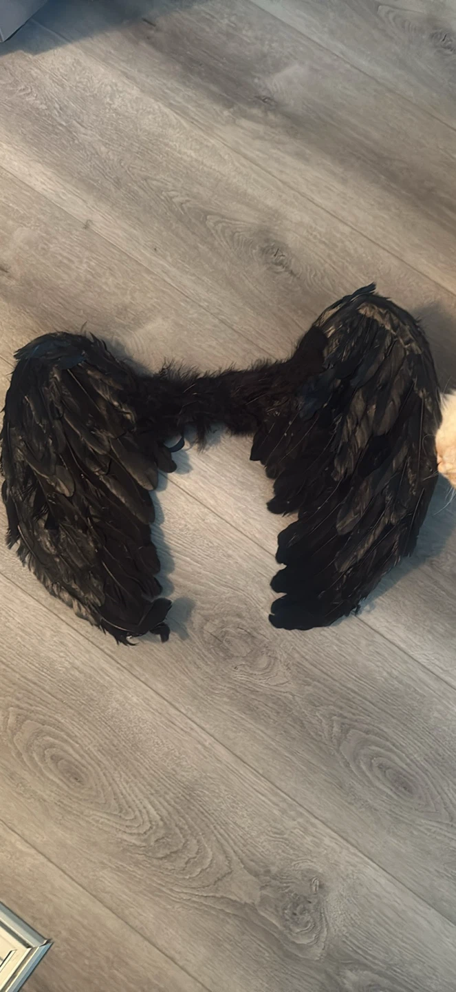 Adult Black Feather Wings