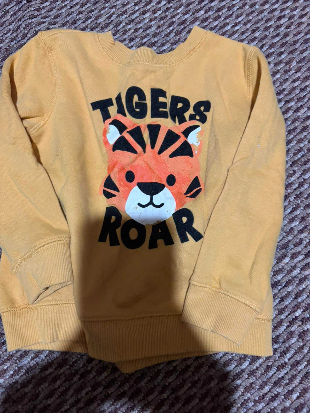 Tigers Roar Graphic Sweatshirt ~ Size 4T