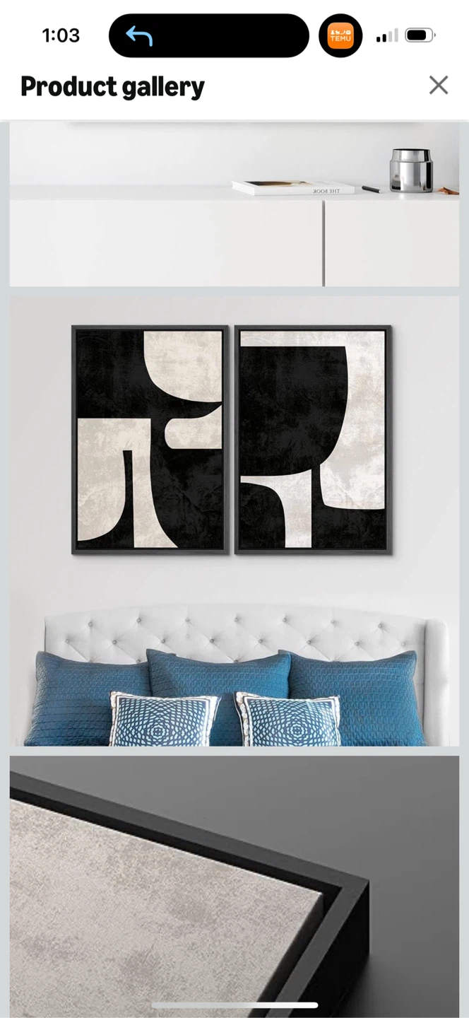 Framed Abstract Wall Art Set - photo 2