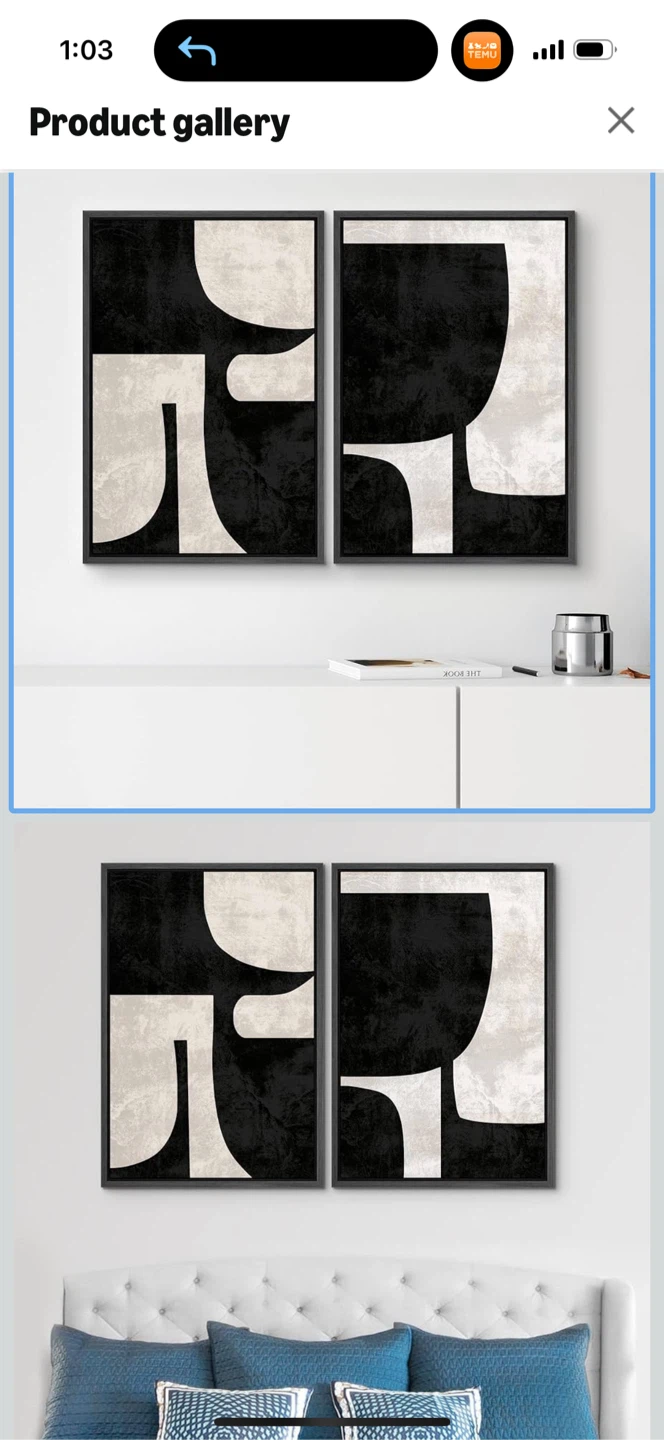 Framed Abstract Wall Art Set - photo 3