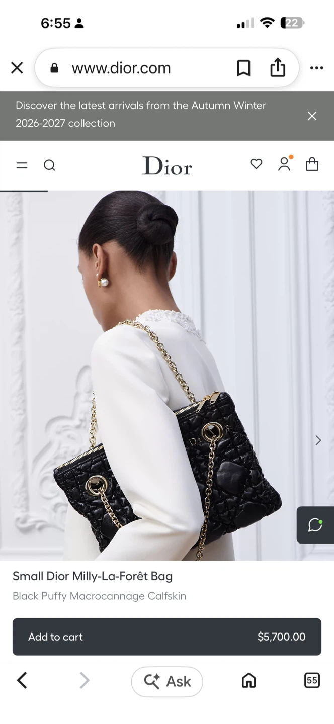 Dior Milly-La-Forêt Bag - White Puffy - photo 4