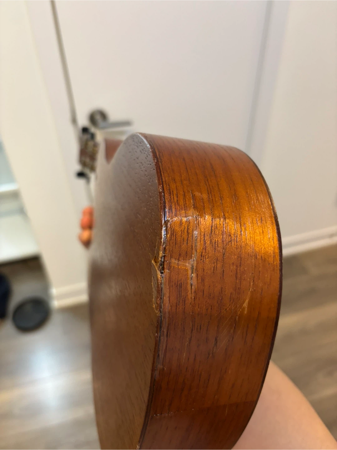Ukulele with Carrying Case - photo 2