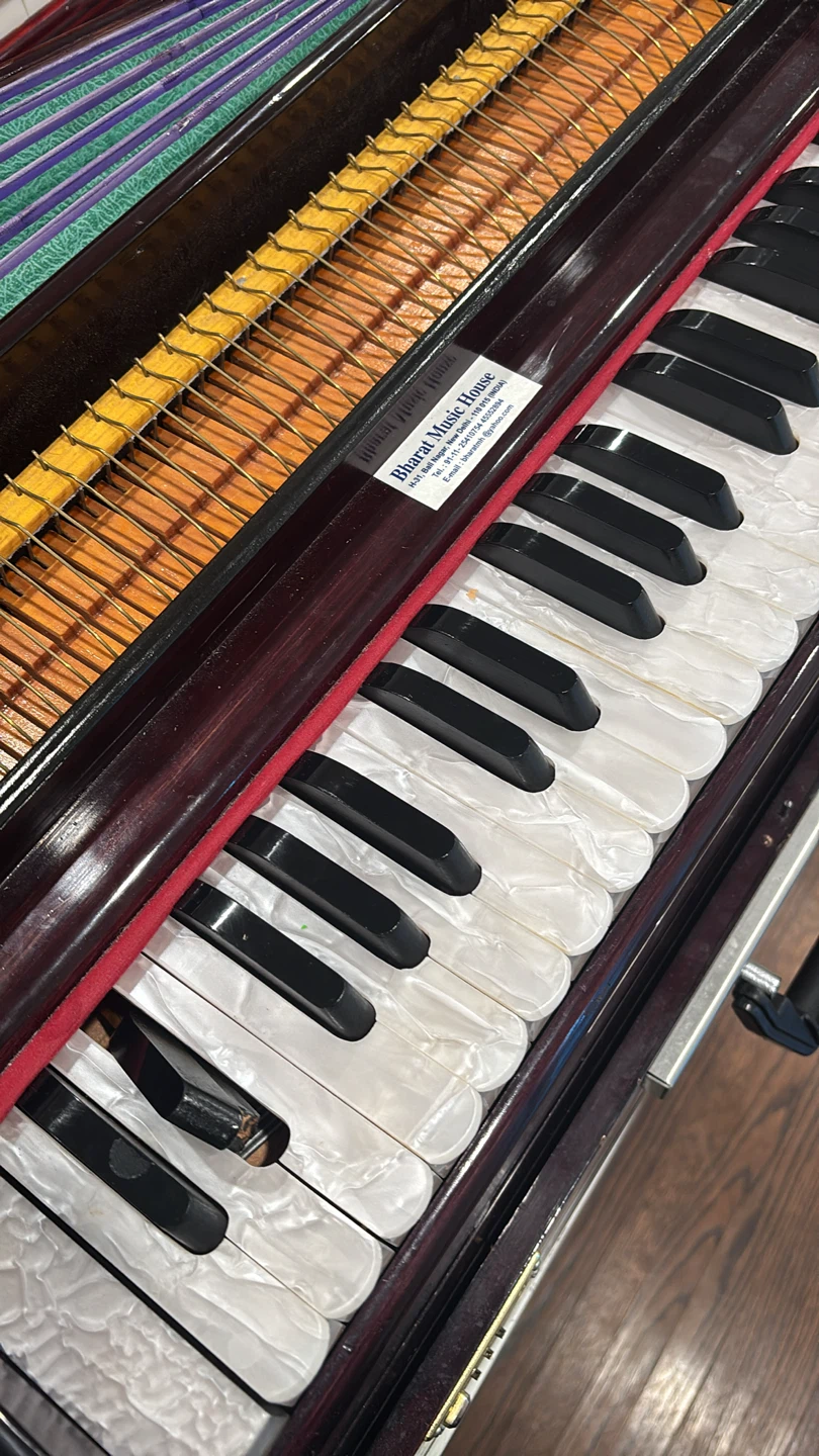 Harmonium tunning - photo 4