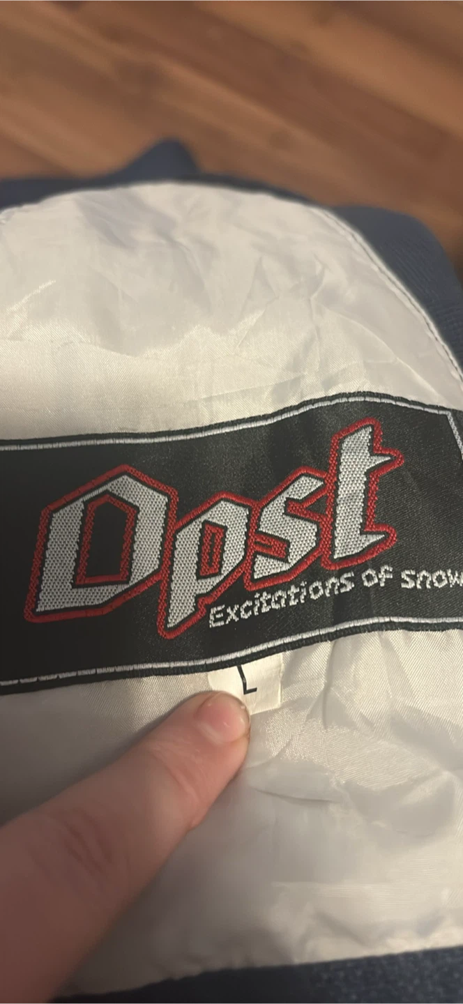 Dpst Snow Bib Pants - photo 2