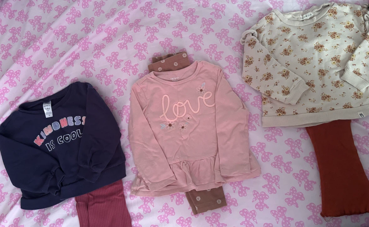 Toddler Girl Clothing Bundle 24M