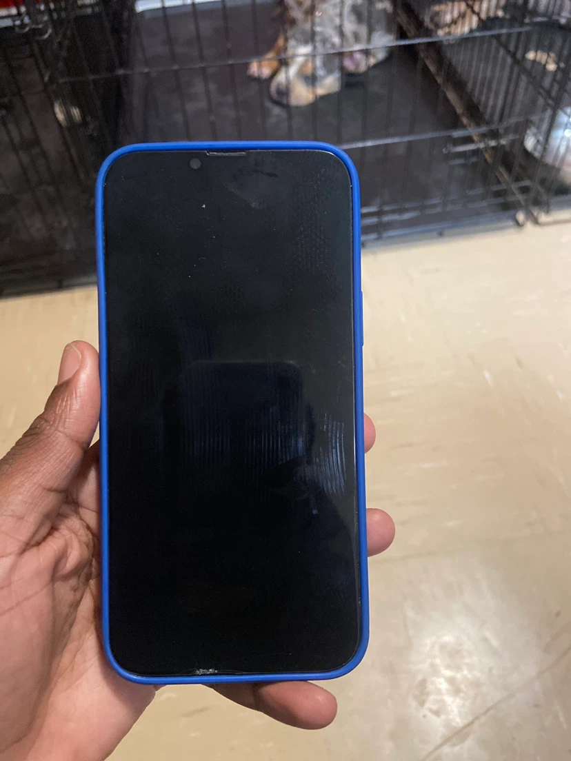 The North Face Puffer Case for iPhone 13 Pro - photo 2