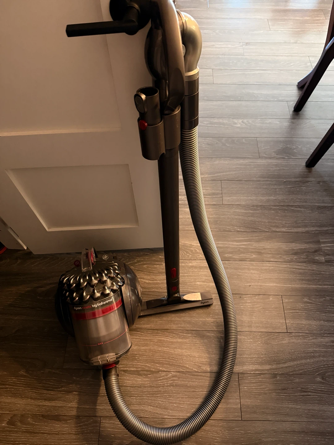 Dyson Big Ball Animal Canister Vacuum