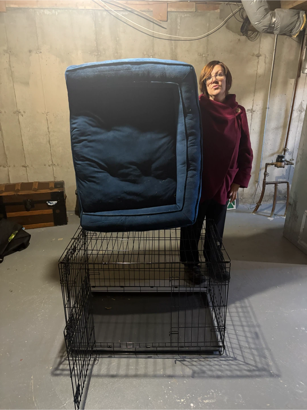 Blue Pet Bed large