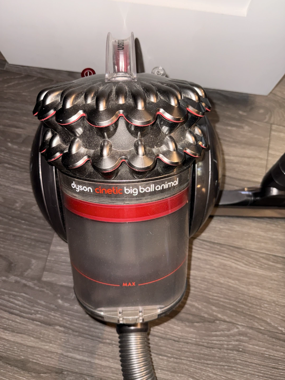 Dyson Big Ball Animal Canister Vacuum - photo 2