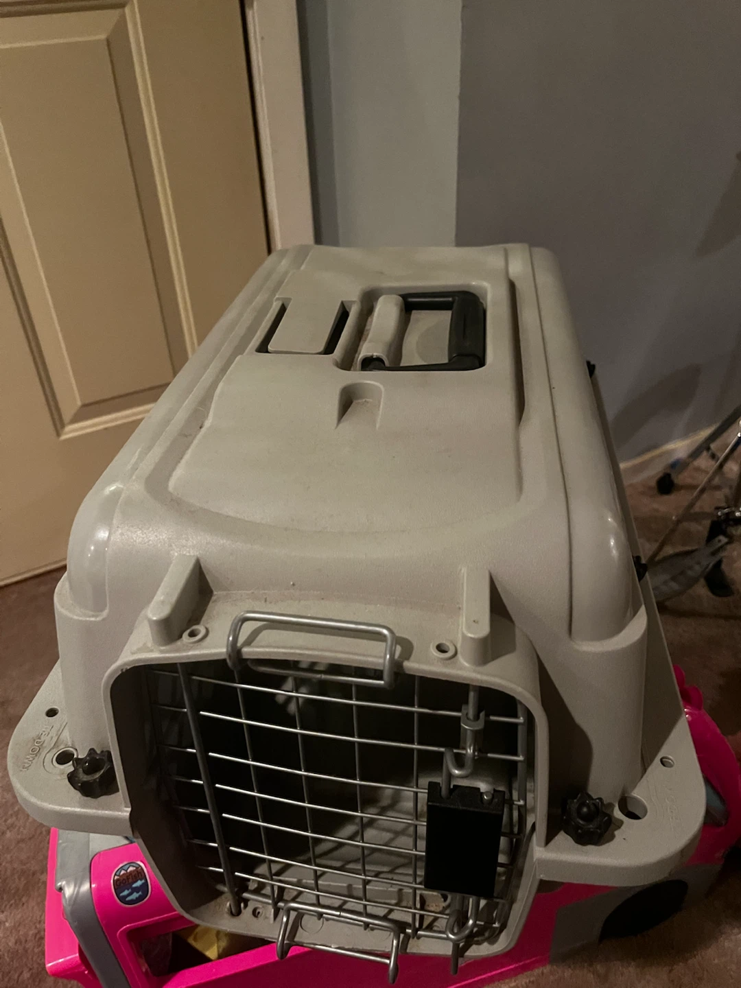 Pet Travel Carrier