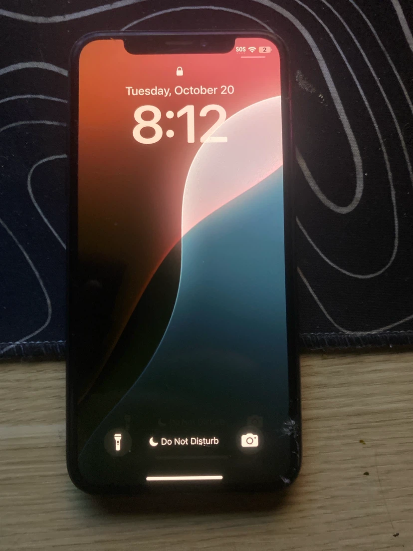 Apple iPhone X