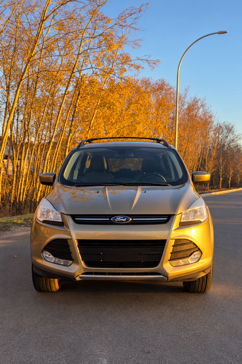 Ford Escape SE - photo 2
