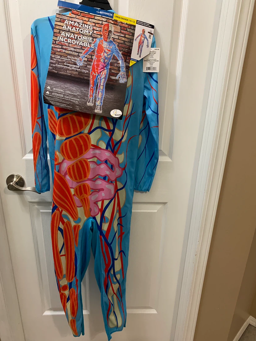 Amazing Anatomy Costume Size Large (10-12)