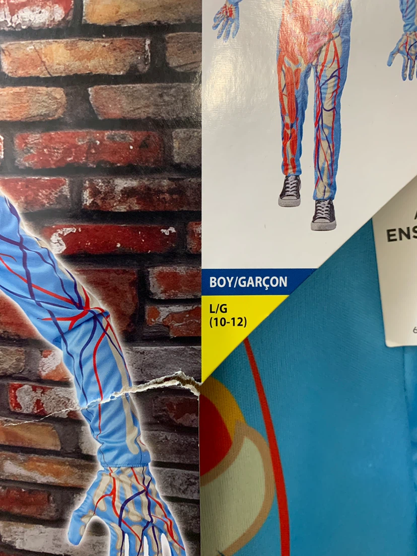Amazing Anatomy Costume Size Large (10-12) - photo 3