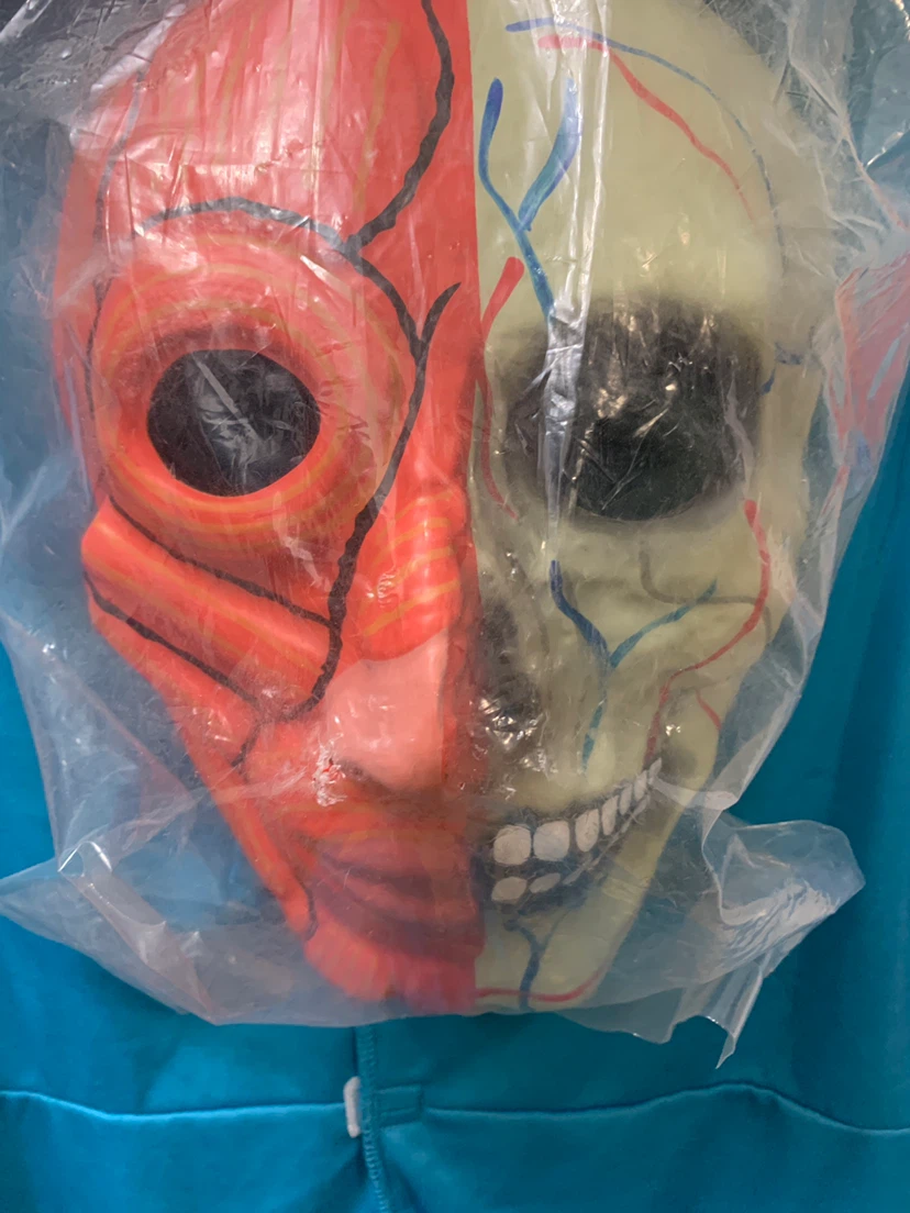 Amazing Anatomy Costume Size Large (10-12) - photo 5