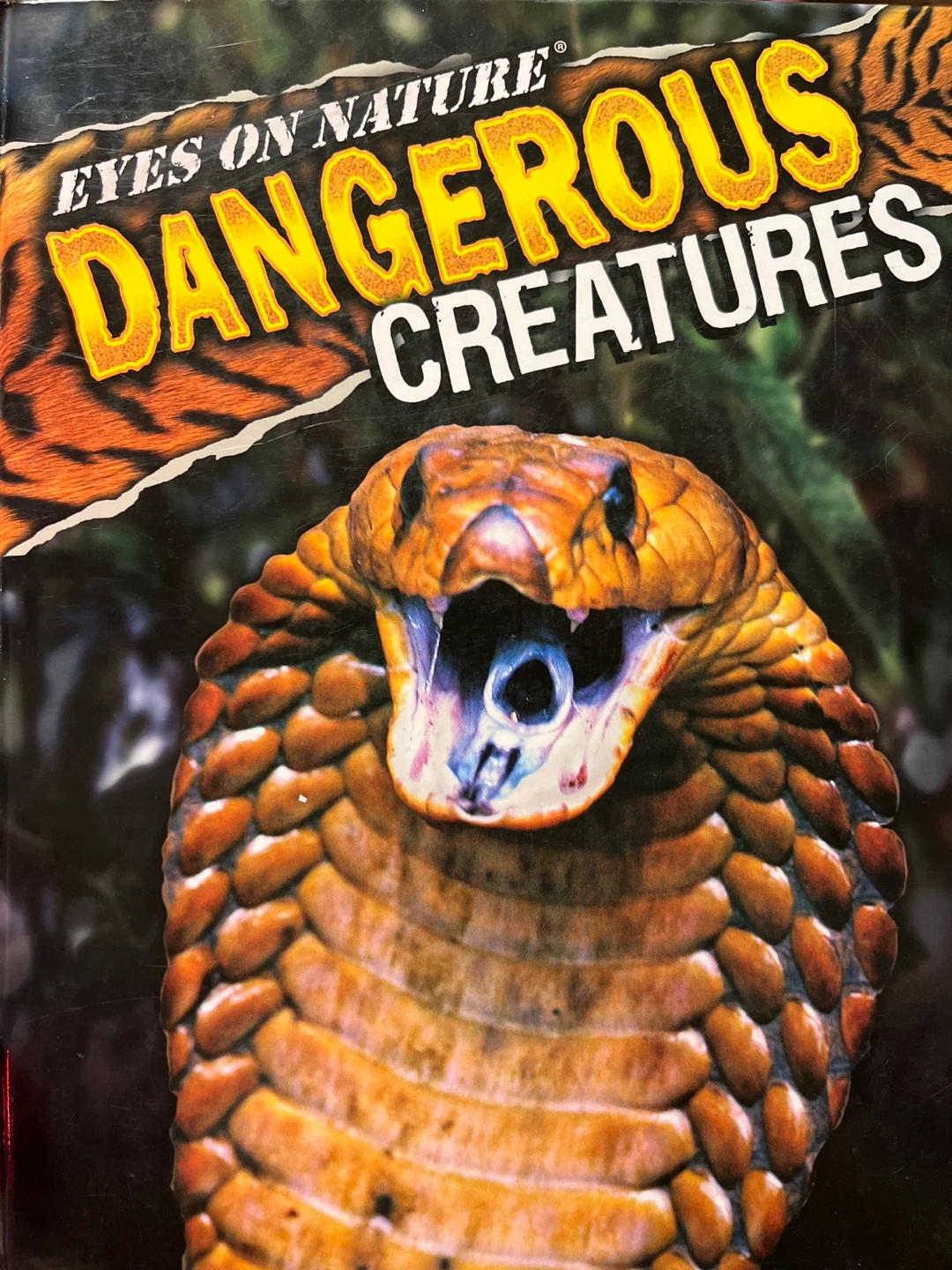 Eyes on Nature: Dangerous Creatures Book - photo 2