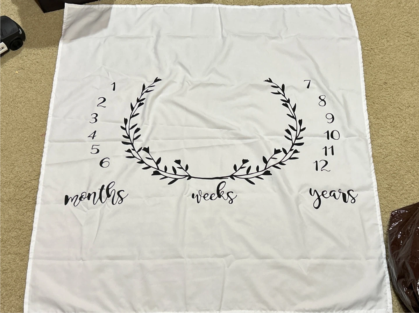 Baby Milestone Blanket