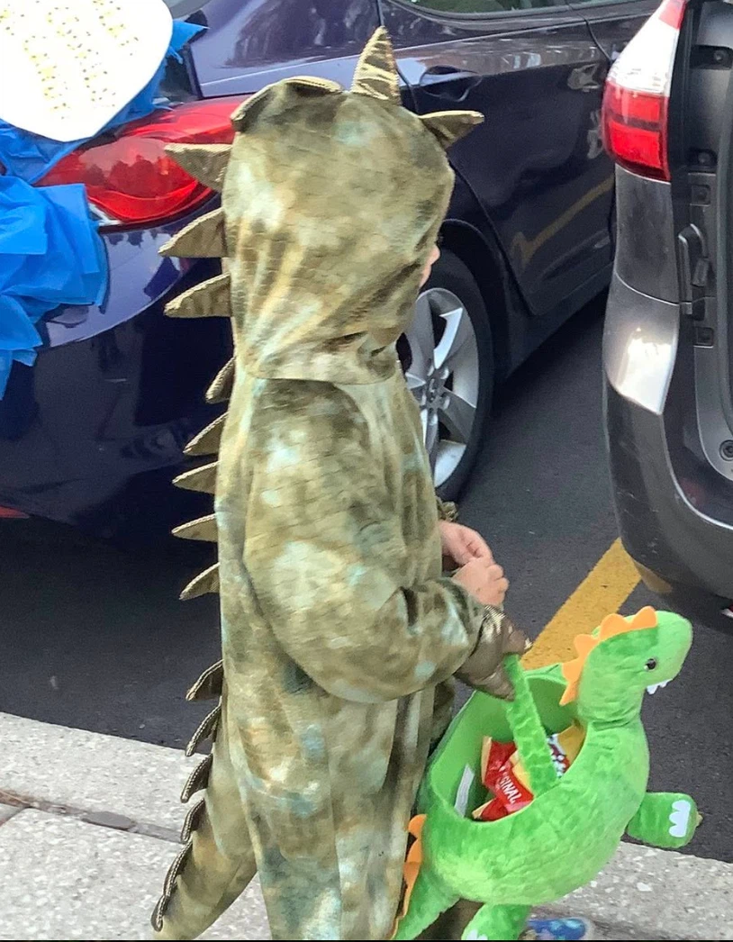 Green Dinosaur Costume size small 5-6T