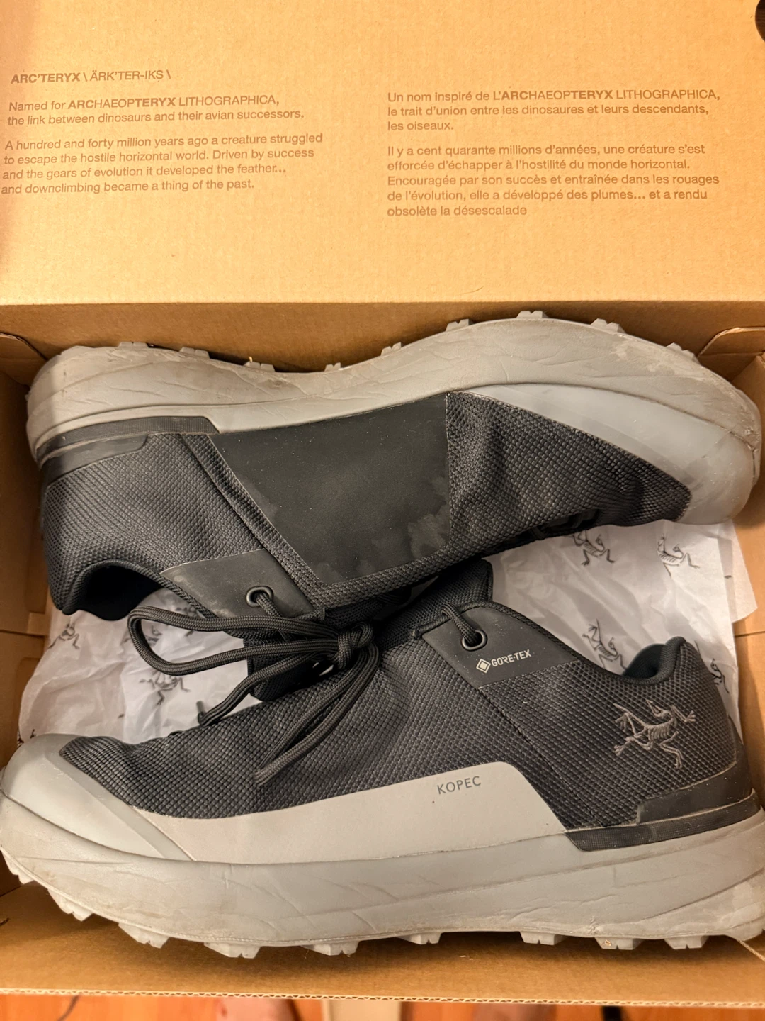 Arcteryx Gore-tex shoes 10.5 USA
