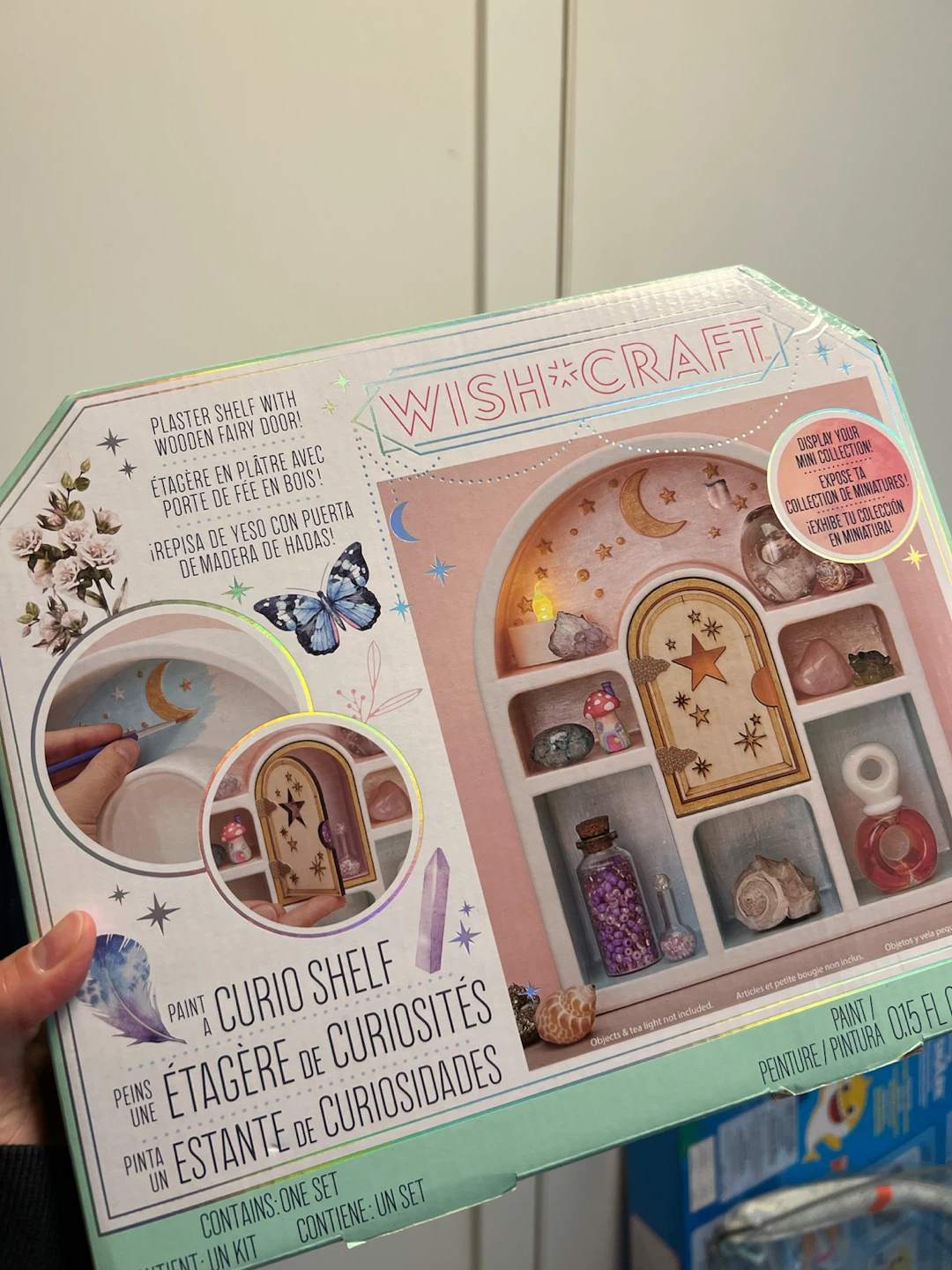Wish Craft Paint a Curio Shelf Kit
