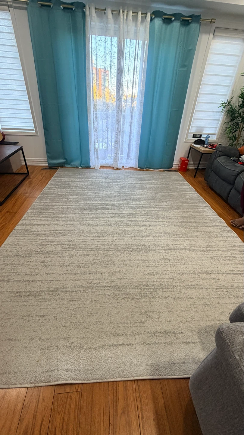 Safavieh Adirondack Area Rug 8x10 Light Grey - photo 3