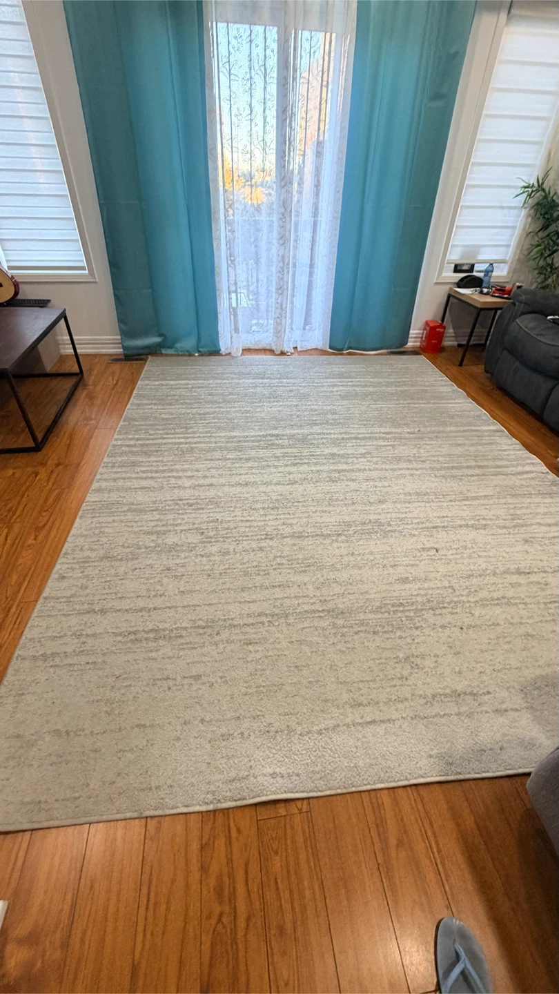 Safavieh Adirondack Area Rug 8x10 Light Grey - photo 4