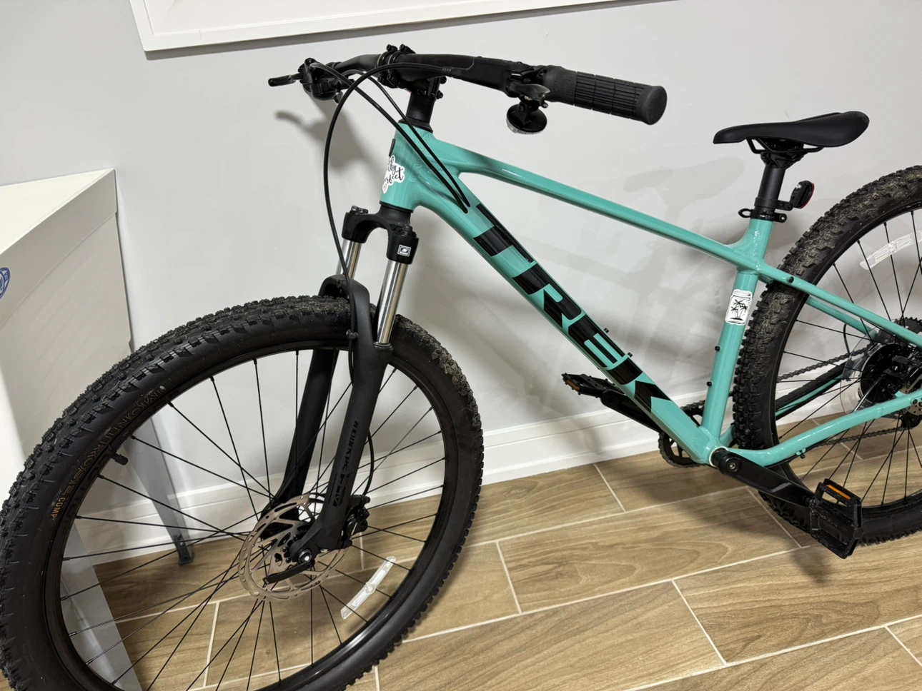 Mountain bike