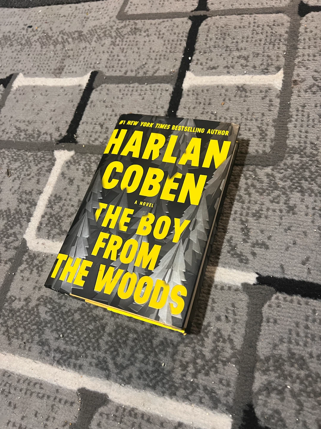 The Boy from the Woods by Harlan Coben